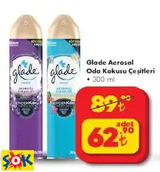 GLADE AEROSOL ODA KOKUSU ÇEŞİTLERİ